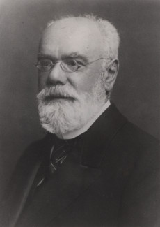 Portrait von D. Friedrich Veit (Datierung: unbekannt)